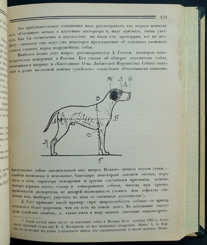 Сборник ДОКСа «Зима 1924–1925 гг.»: кинология, ветеринария и хроника донского собаководства
