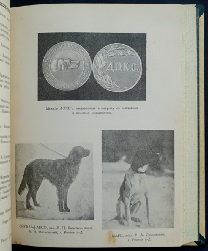 Сборник ДОКСа «Зима 1924–1925 гг.»: кинология, ветеринария и хроника донского собаководства