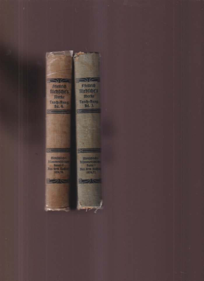 Ницше Ф. Собрание сочинений. Том 3–4: «Человеческое, слишком человеческое» (из наследия, 1874–1878)