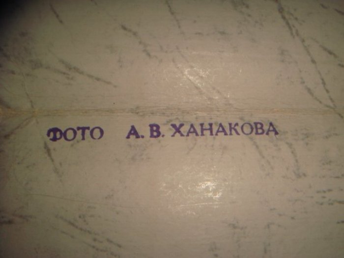 В гостях у Анастасии Цветаевой: фотоальбом А.В. Ханакова (Москва, 1989)