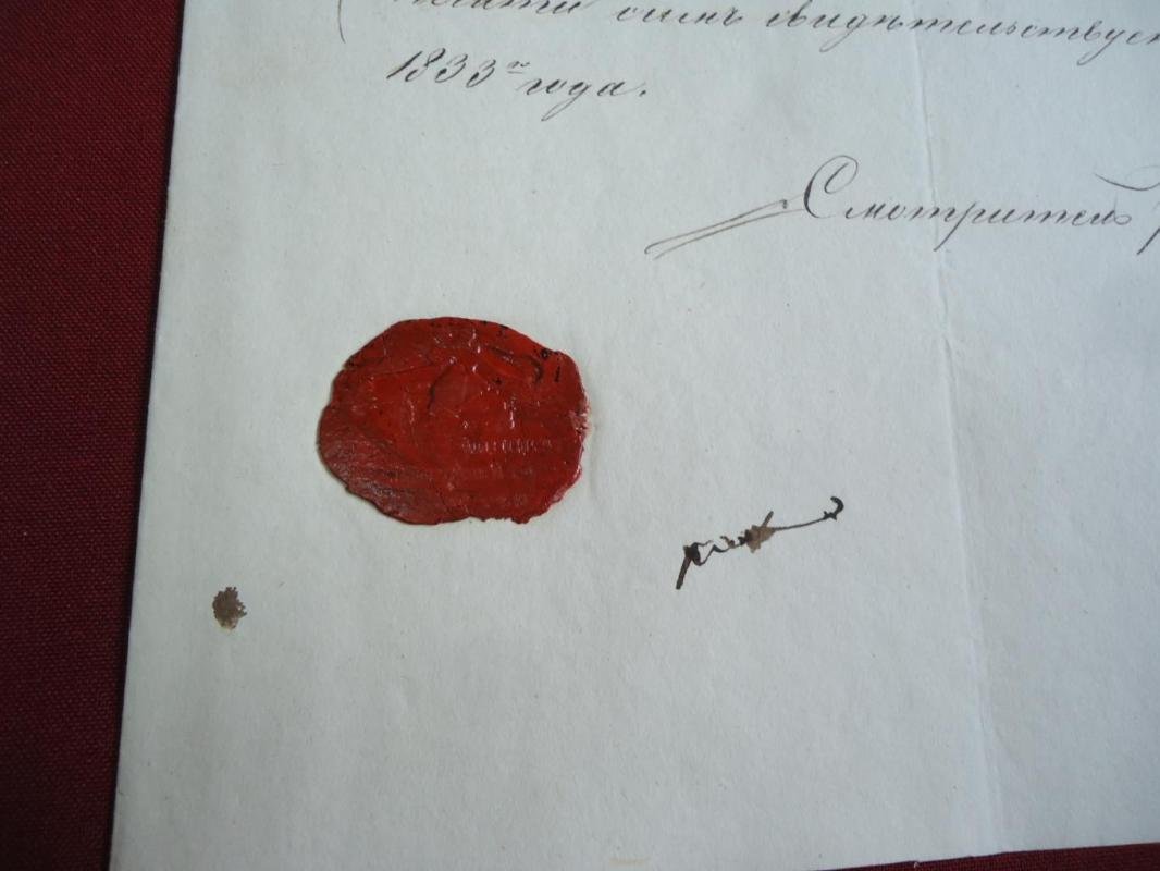 Стрельна. Отпускной билет дочери от отца (Матрена), 23 ноября 1833 года