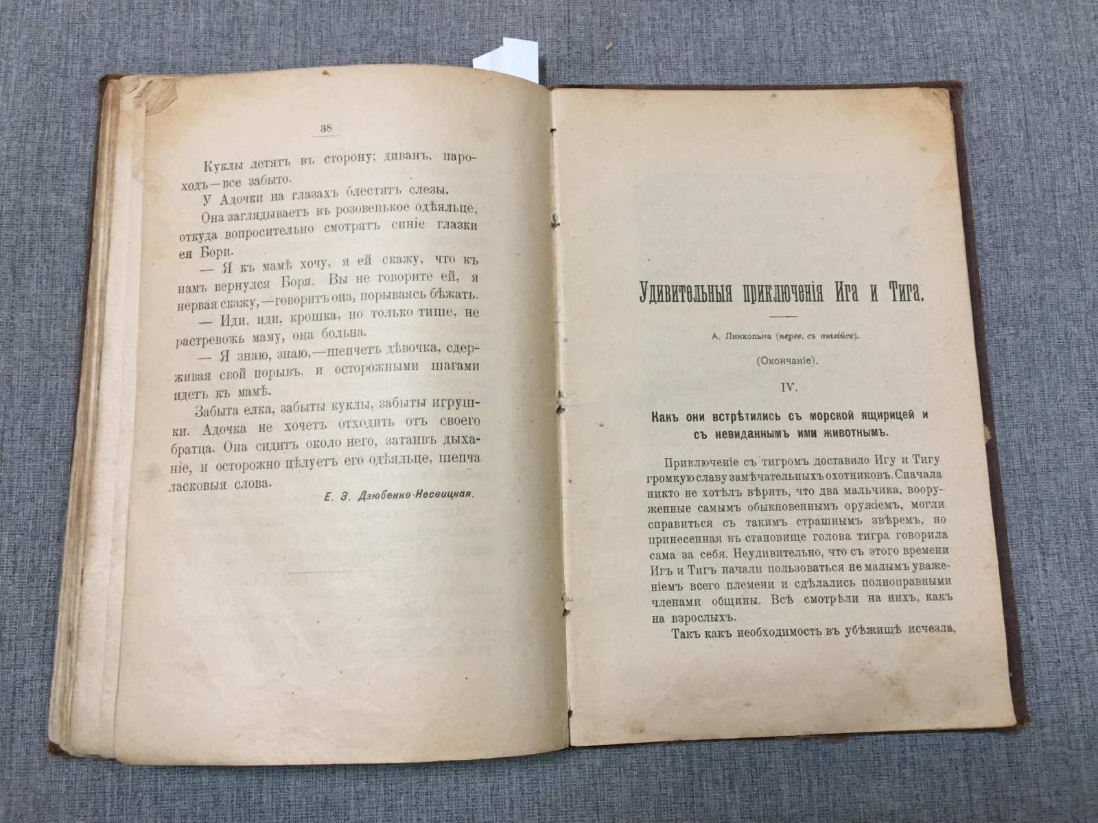 Удивительные приключения Ига и Тига. Фантастическая повесть для юных охотников (приложение к журналу «Живописное обозрение», октябрь–декабрь 1904)