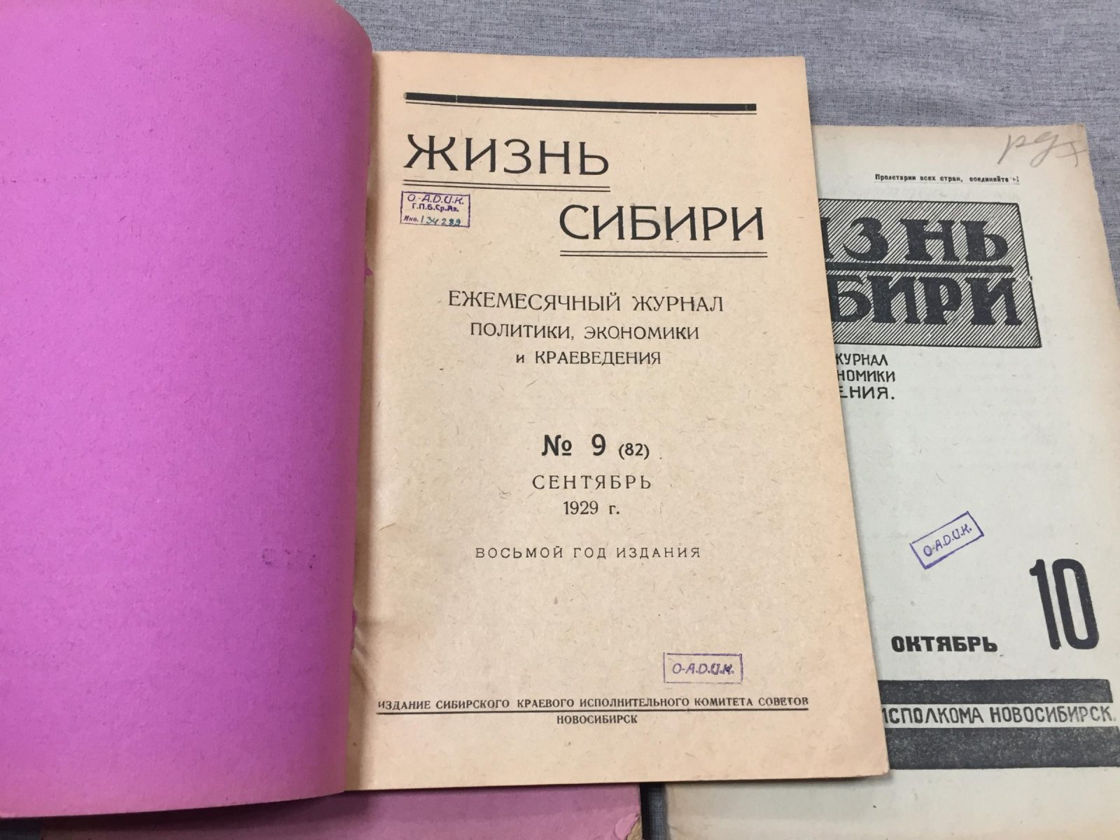 «Жизнь Сибири». Ежемесячный журнал политики, экономики и краеведения. Выпуски № 9–12 (сентябрь–декабрь, 1929)