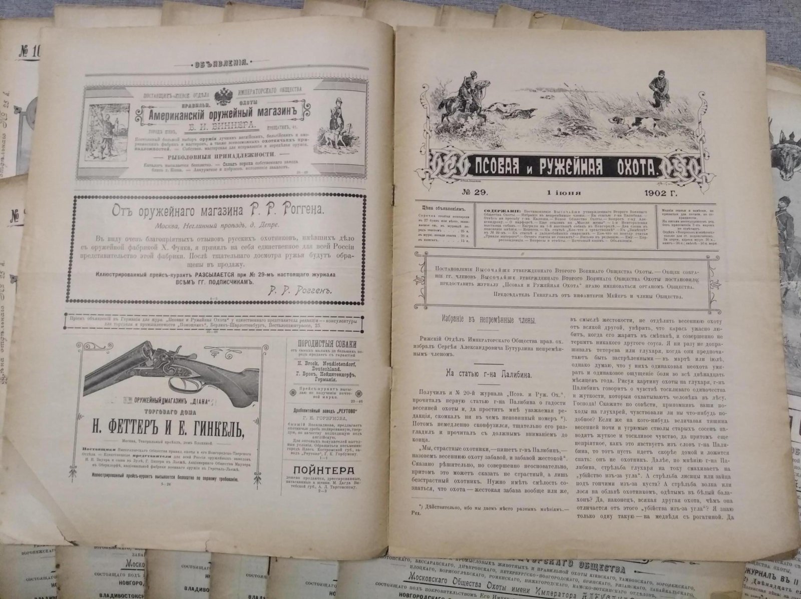 Псовая и ружейная охота. Выпуски № 9–29 (21 номер), 1902 год — журнал «Семья охотников»