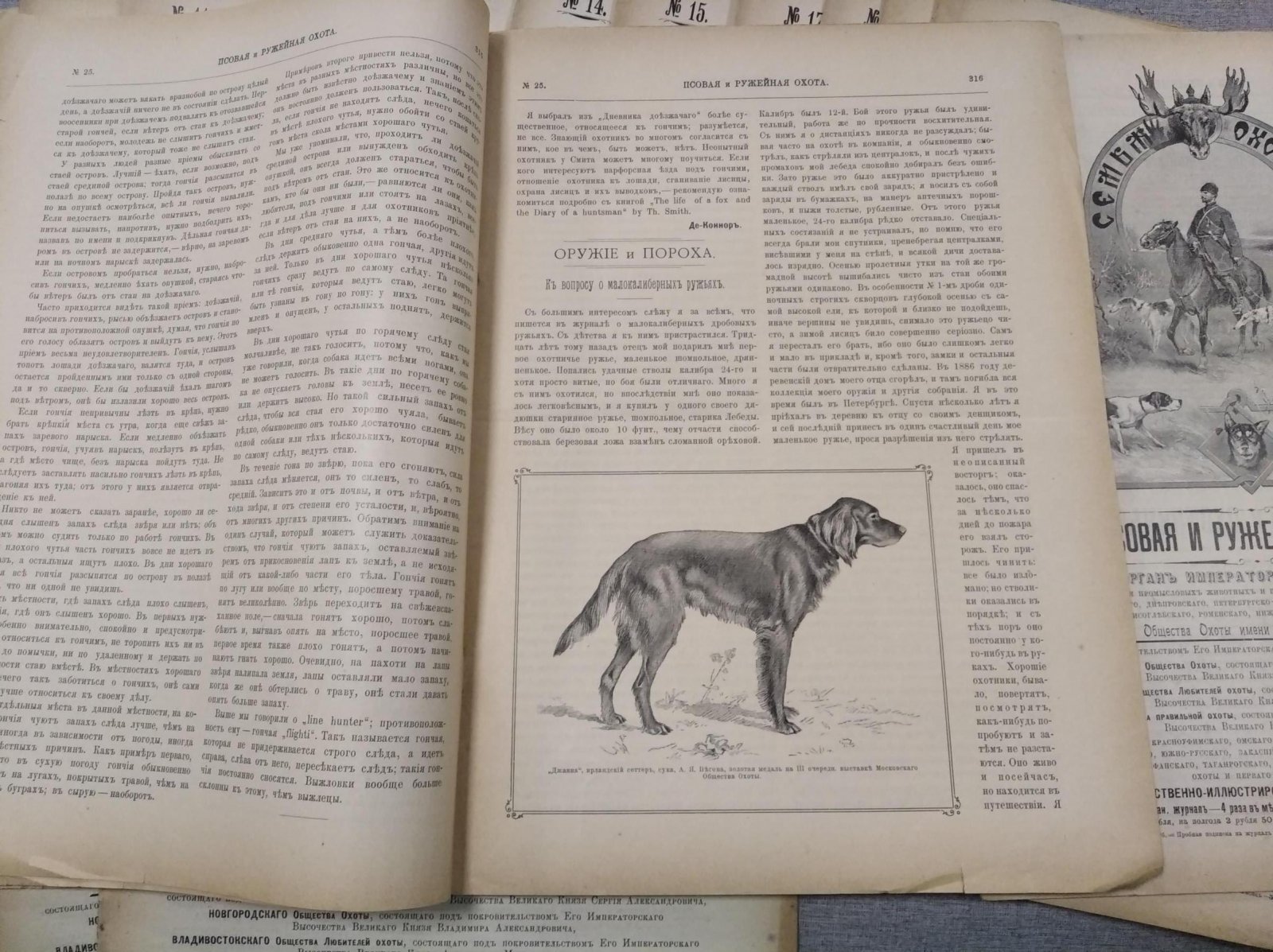 Псовая и ружейная охота. Выпуски № 9–29 (21 номер), 1902 год — журнал «Семья охотников»
