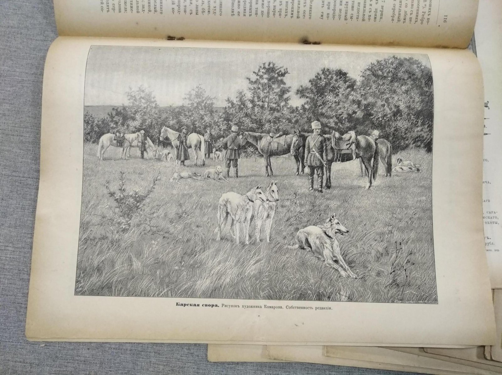 Псовая и ружейная охота. Выпуски № 9–29 (21 номер), 1902 год — журнал «Семья охотников»
