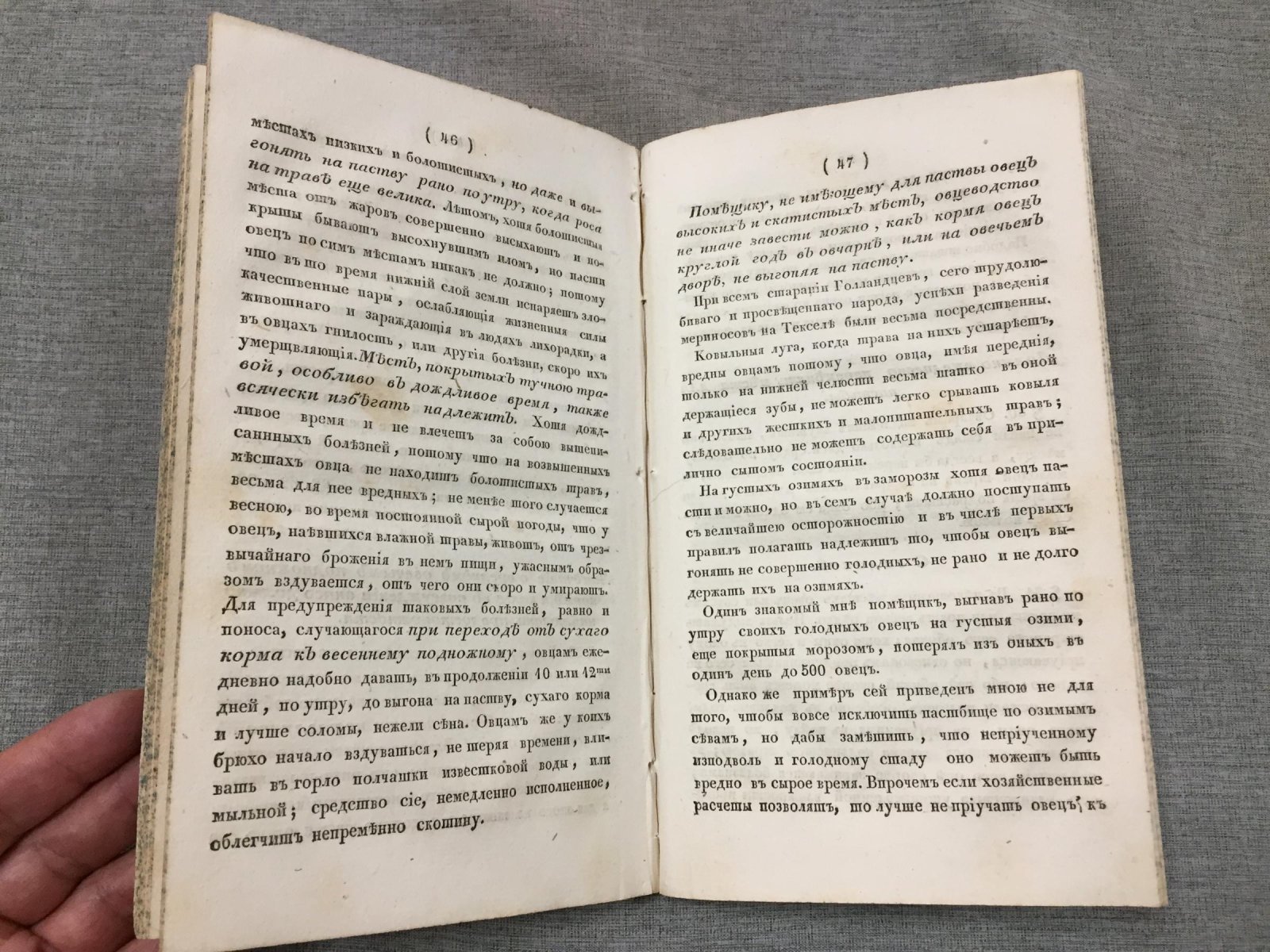 Краткое руководство по разведению и содержанию тонкошерстных овец в средней полосе России (1826)