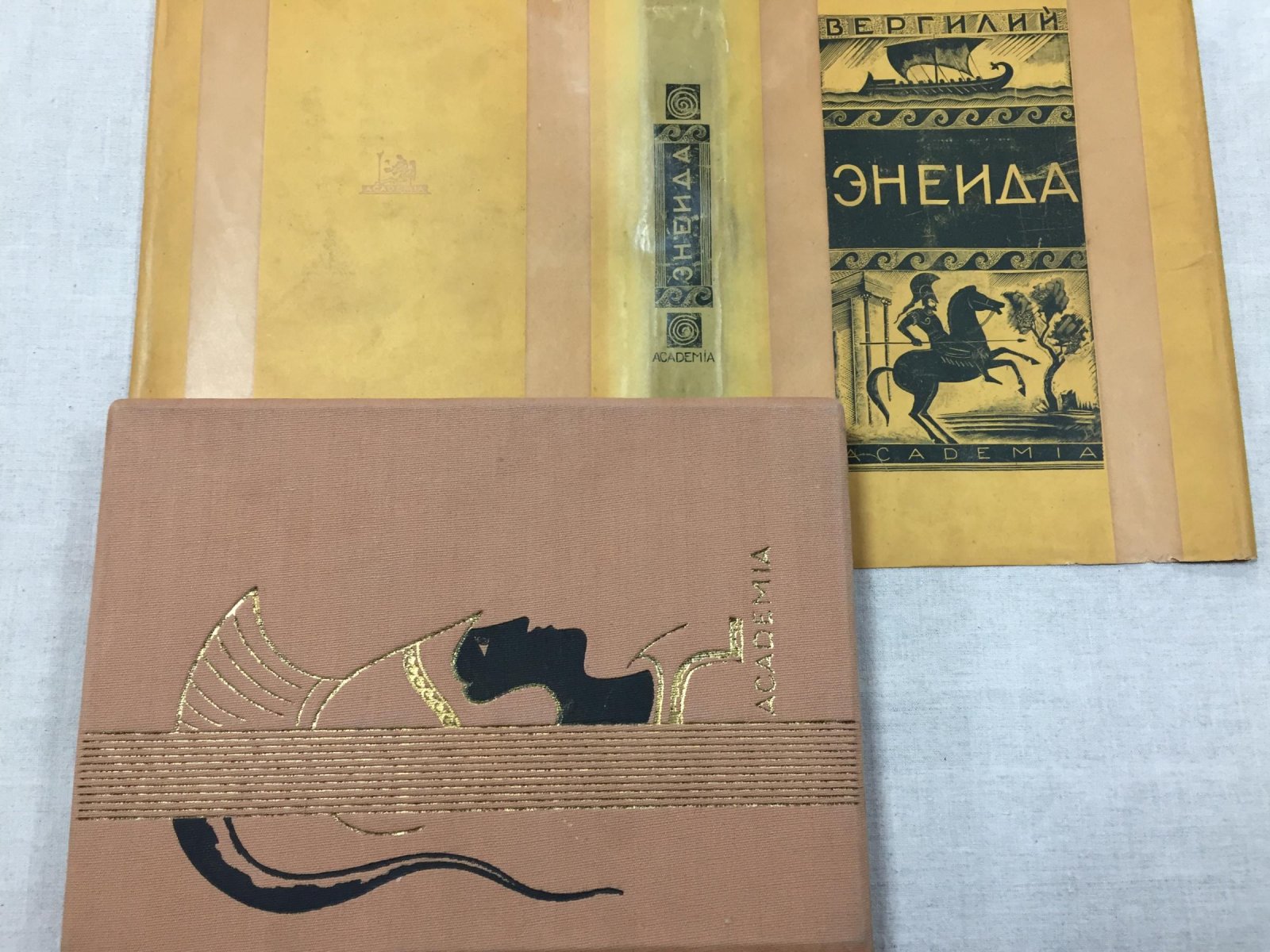 Вергилий «Энеида». Перевод В. Брюсова и С. Соловьева; редакция, вступительная статья и комментарии Н. Ф. Дератани