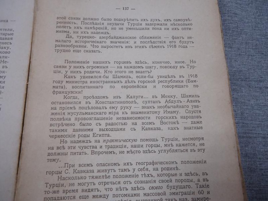 Независимость Грузии в международной политике (1918–1921). Воспоминания и очерки
