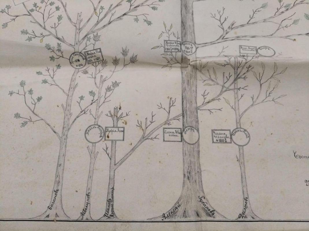 Родословное дерево Губановых (1901): к юбилею «золотой свадьбы» П.И. и А.Г. Губановых, Кувинский завод