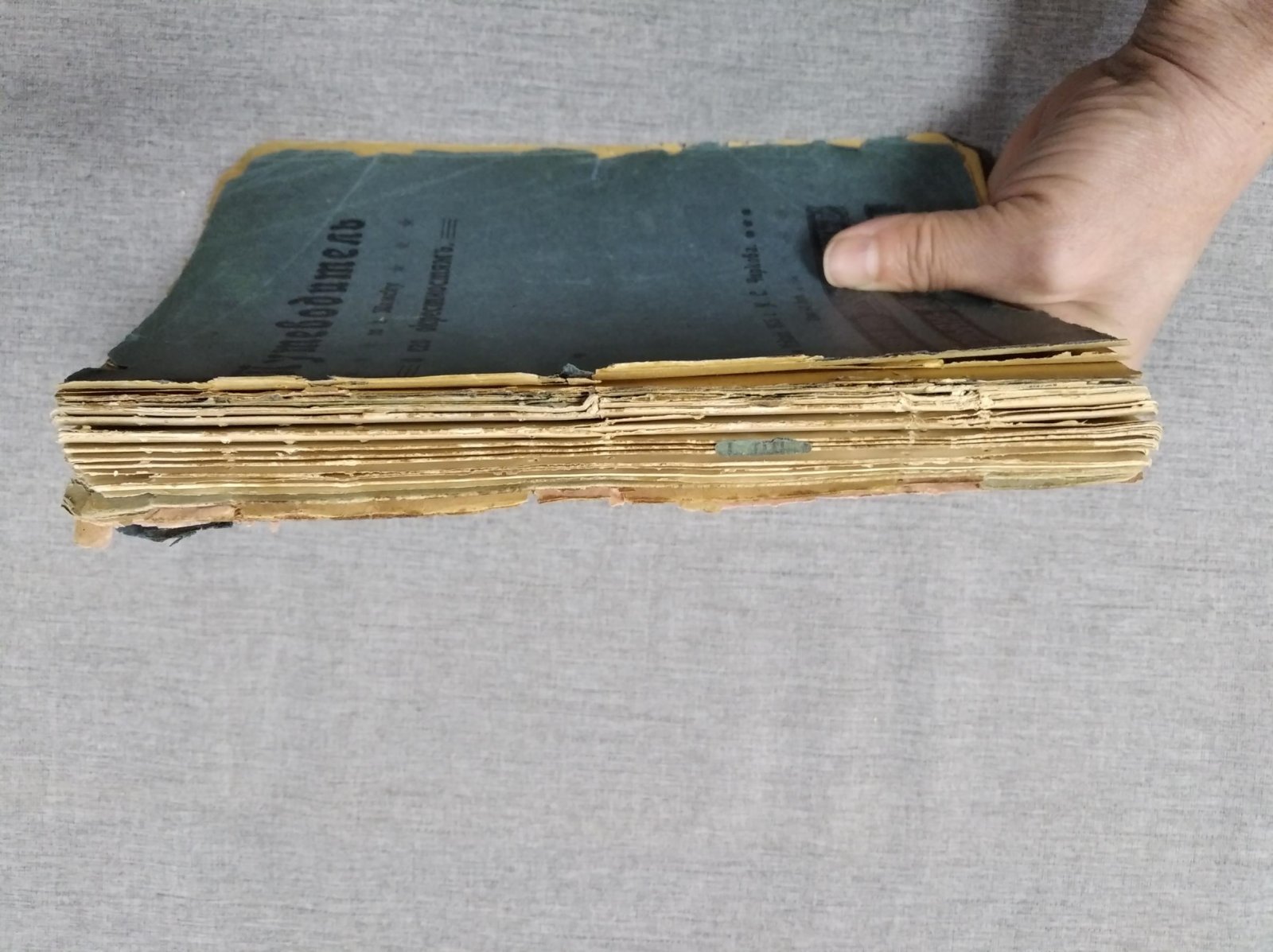 Путеводитель по городу Томску и его окрестностям. Редкое иллюстрированное издание (1905)