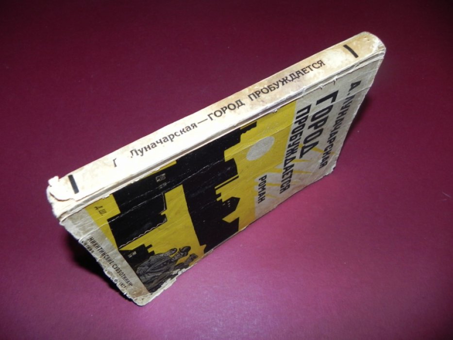 Анна Луначарская — «Город пробуждается» (роман-сатира, 1927)
