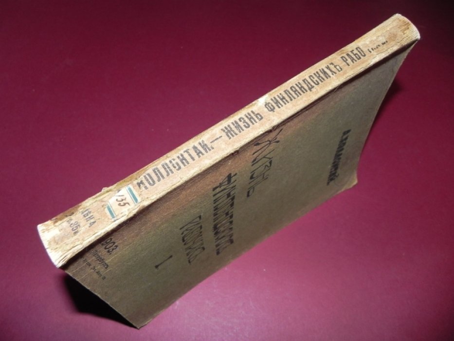Жизнь финляндских рабочих: экономико-статистическое исследование (1903)
