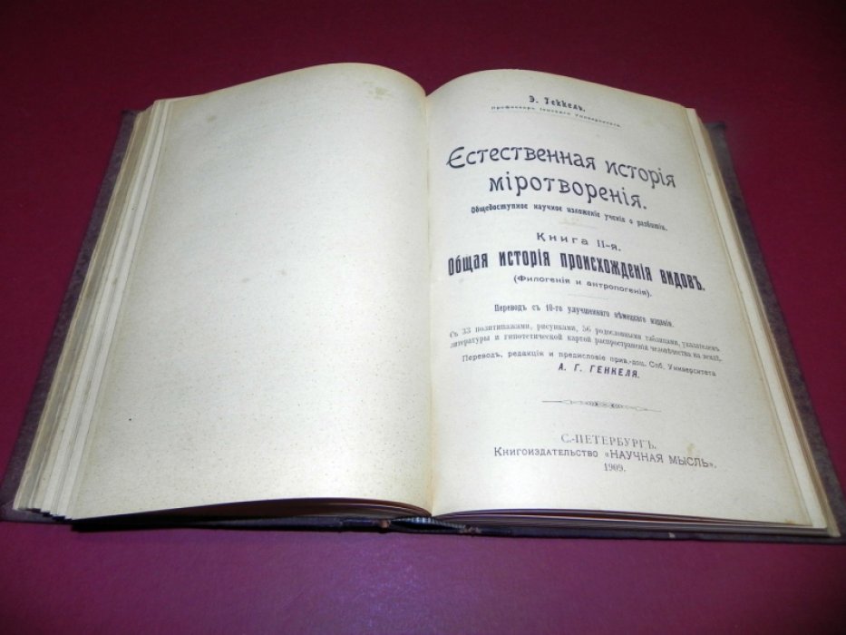Естественная история миротворения. В двух книгах