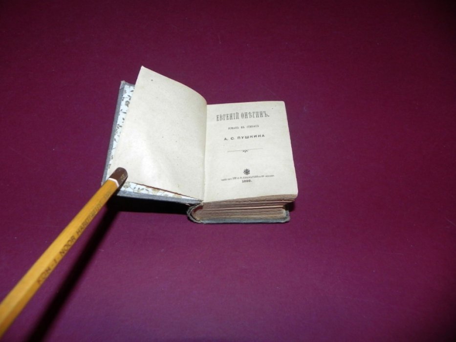 Пушкин. «Евгений Онегин». Роман в стихах (миниатюрное издание 1898 г.)