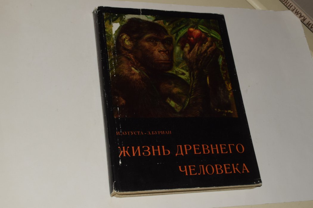 Три книги о древнем мире и эволюции: «Жизнь древнего человека», «Ящеры древних морей», «По путям развития жизни» (иллюстрированное издание)