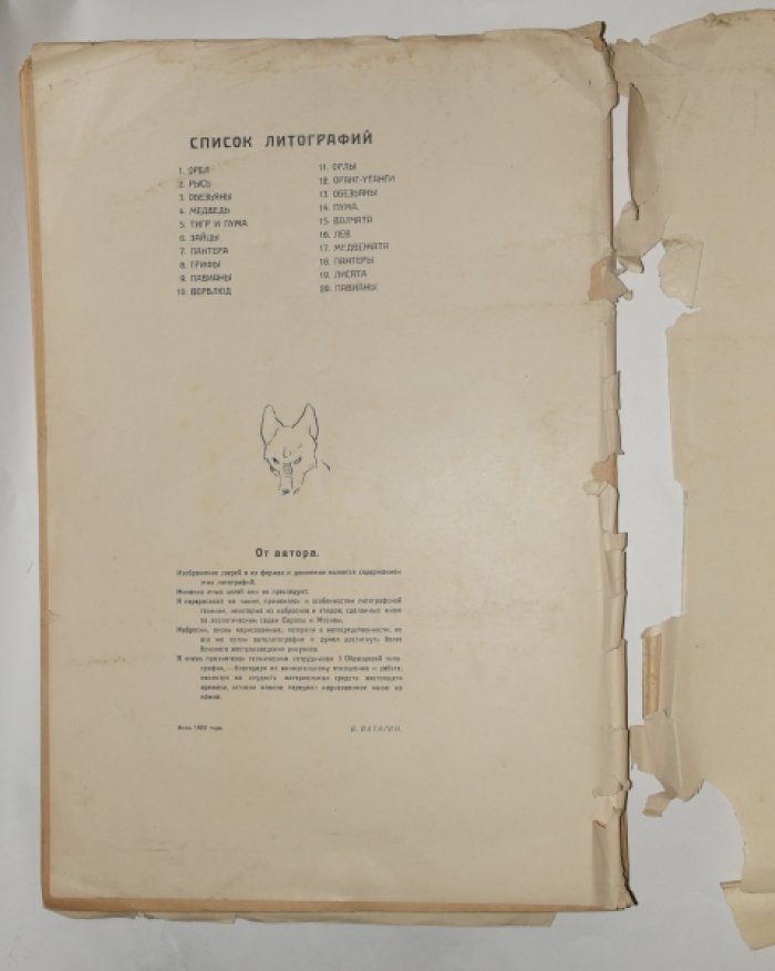 Ватагин В. Рисунки в автолитографиях: альбом литографий (издание 1922 года)