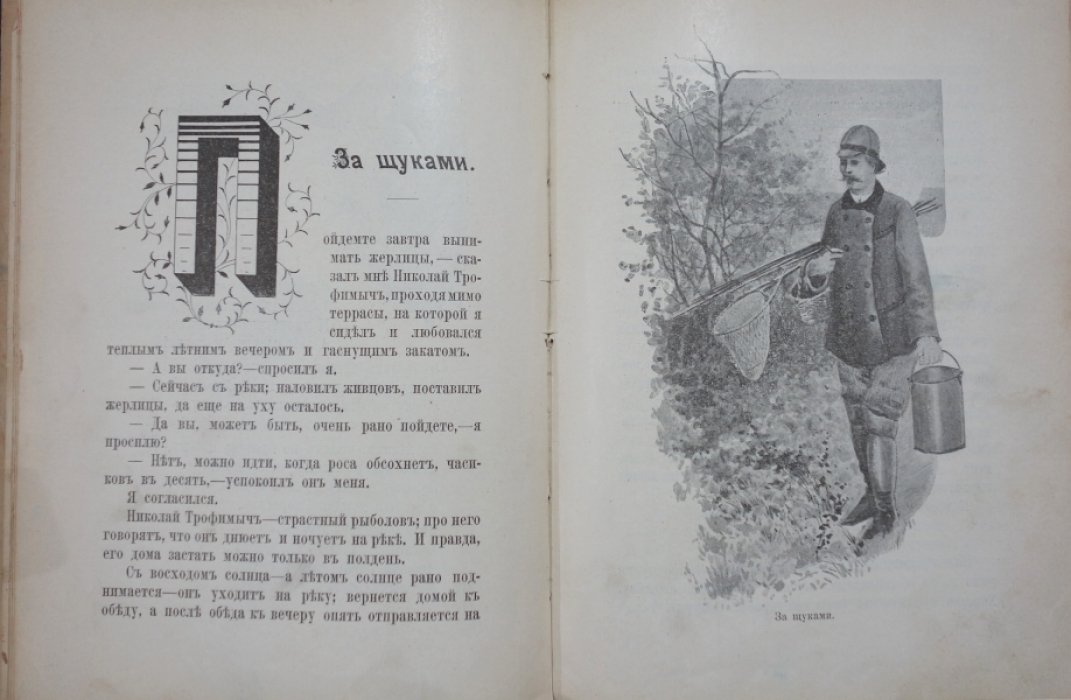 Конволют о природе для детей: «Родной уголок», «В лесу и в поле», «Подруги» (с иллюстрациями)