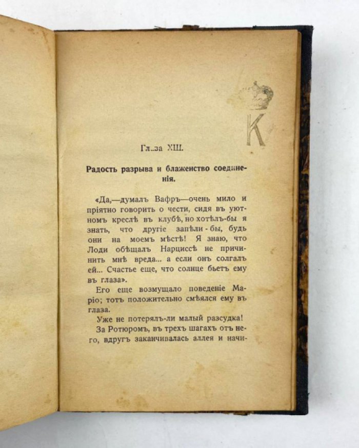 Вилли (Willy). Приключения герцога: роман о любви, признании и жизненных испытаниях