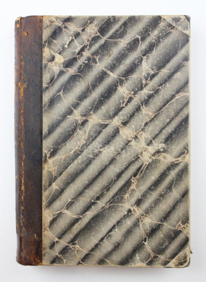 За океан. Путевые записки Василия Витковского (первое издание, 1894)
