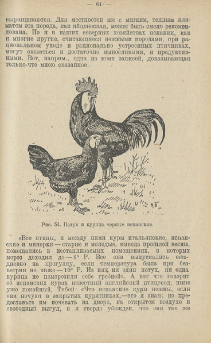 Конволют: «Как разводить кур» и «Доходное куроводство» (практика промышленного птицеводства)
