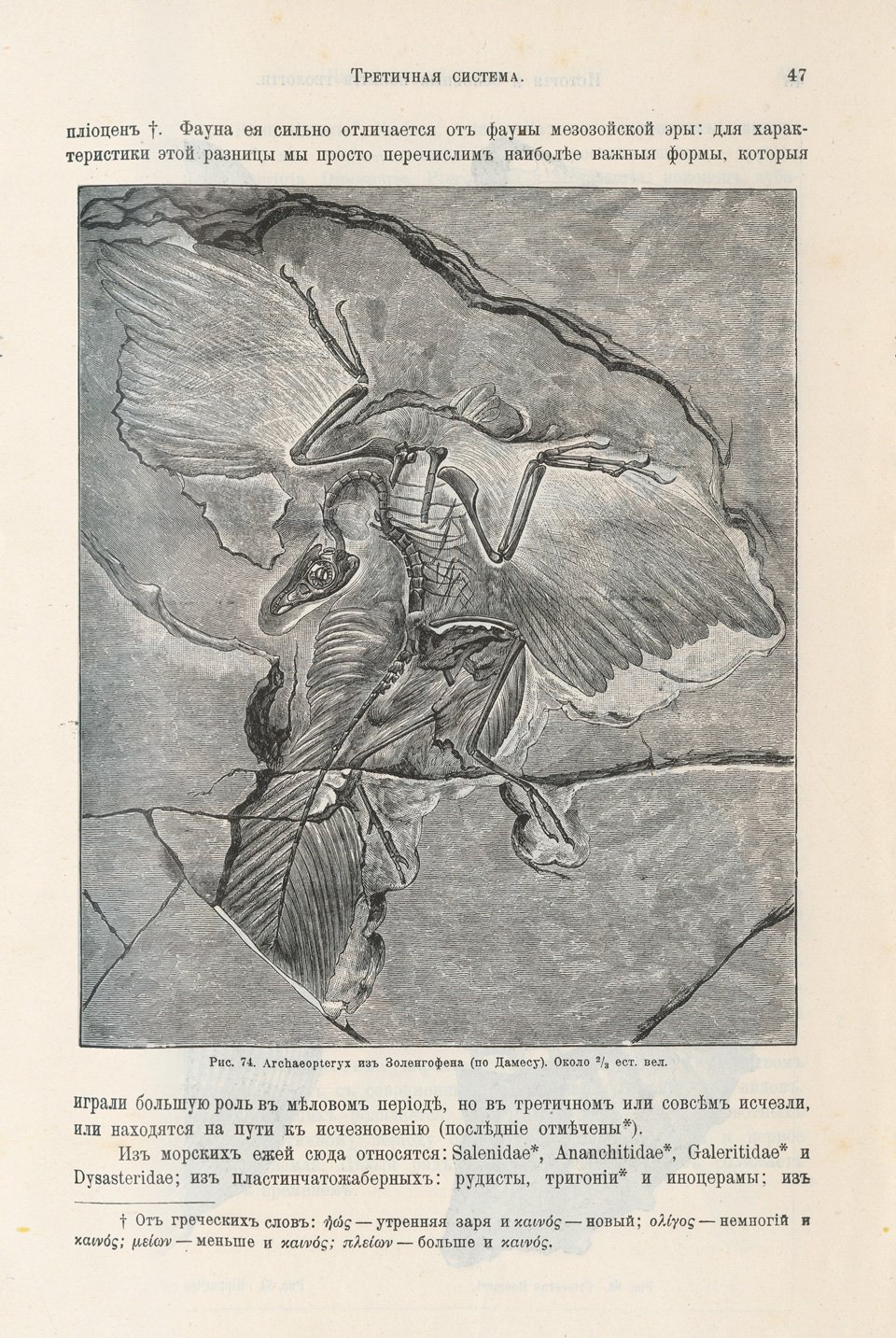 Неймайр. История земли: фундаментальная геология в 2 томах (1903)