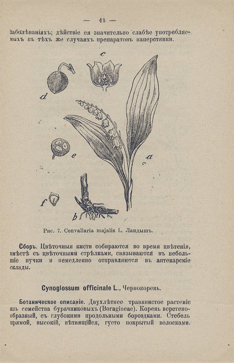 Сбор, сушка и хранение дикорастущих лекарственных растений (справочник)