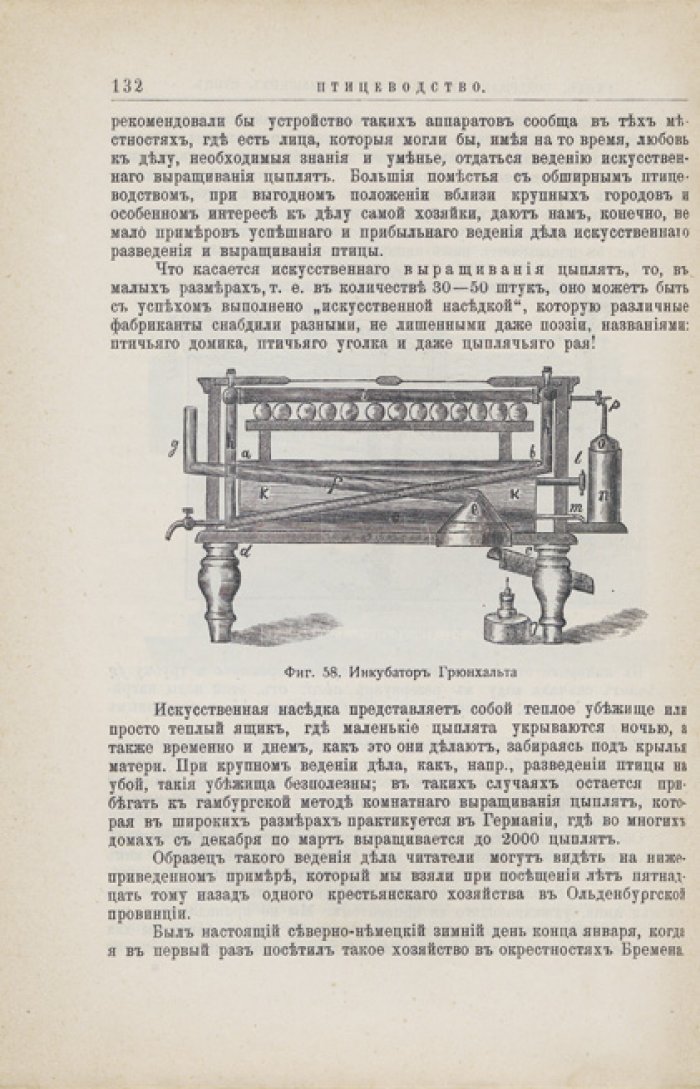 Бальдамус. Птицеводство: куры, гуси, индейки, утки, голуби и фазаны. Практическое руководство