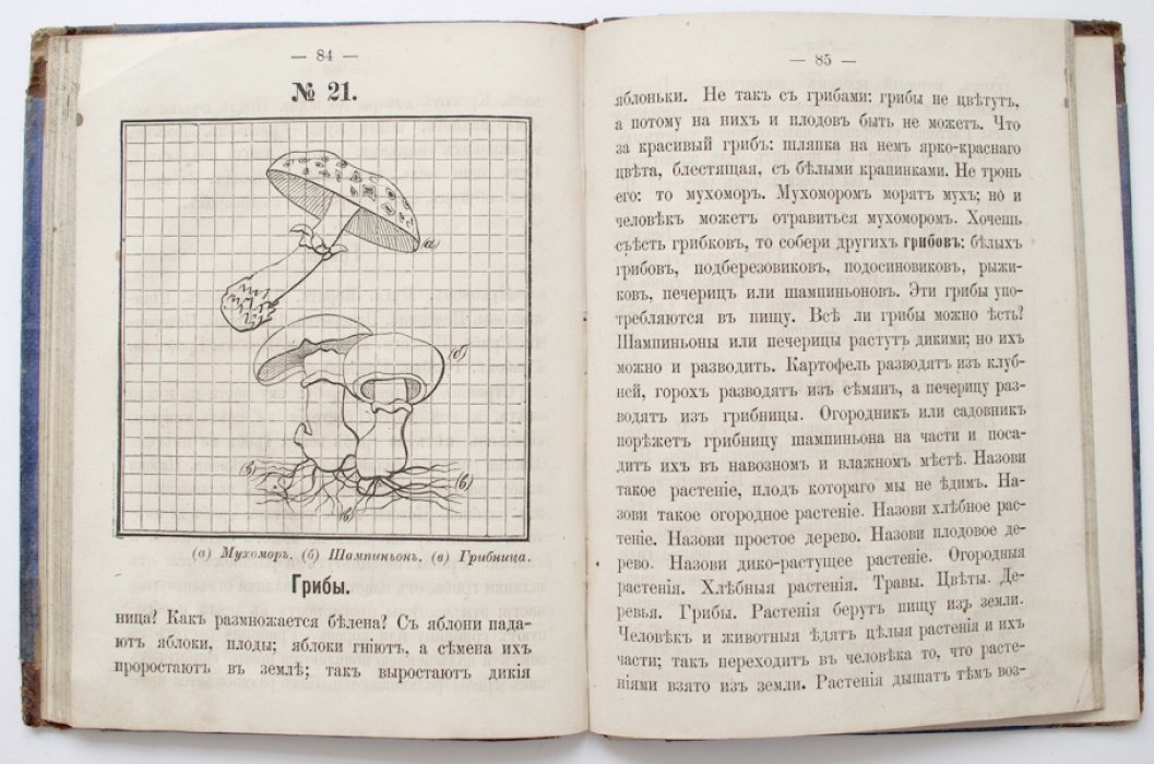 Николай Александрович Корф «Малютка»: первая книга после азбуки для народной школы и семьи (1872)