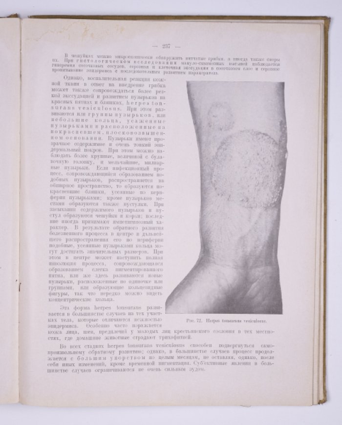 Атлас и руководство по кожным болезням (первое русскоязычное издание)