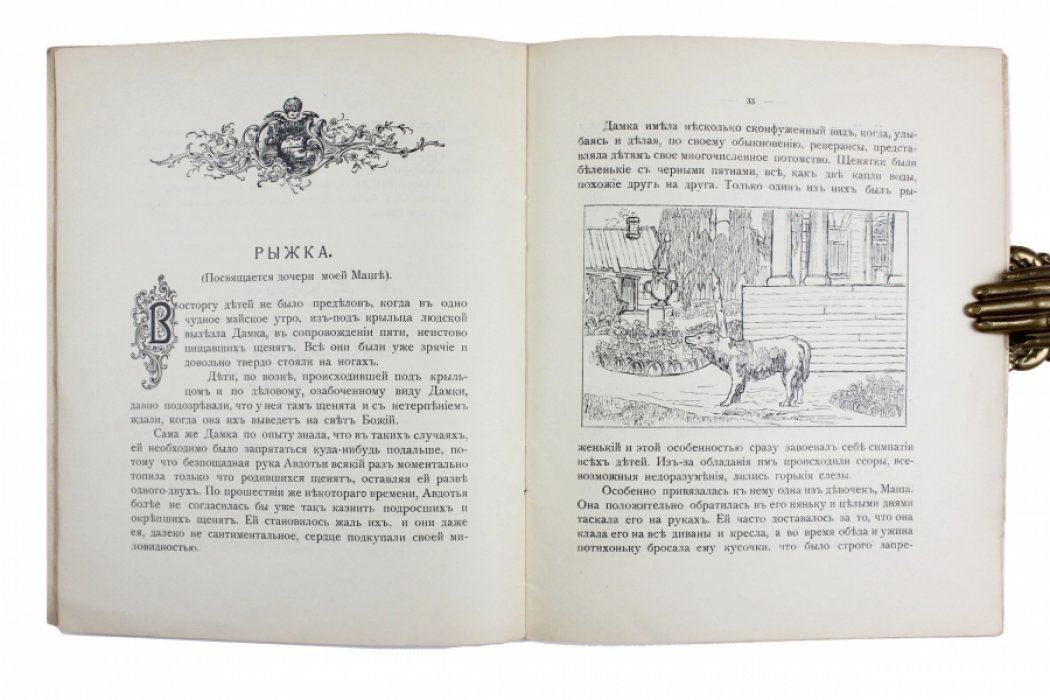 «Забытые» : Рассказы для детей (единственное издание, 1908)