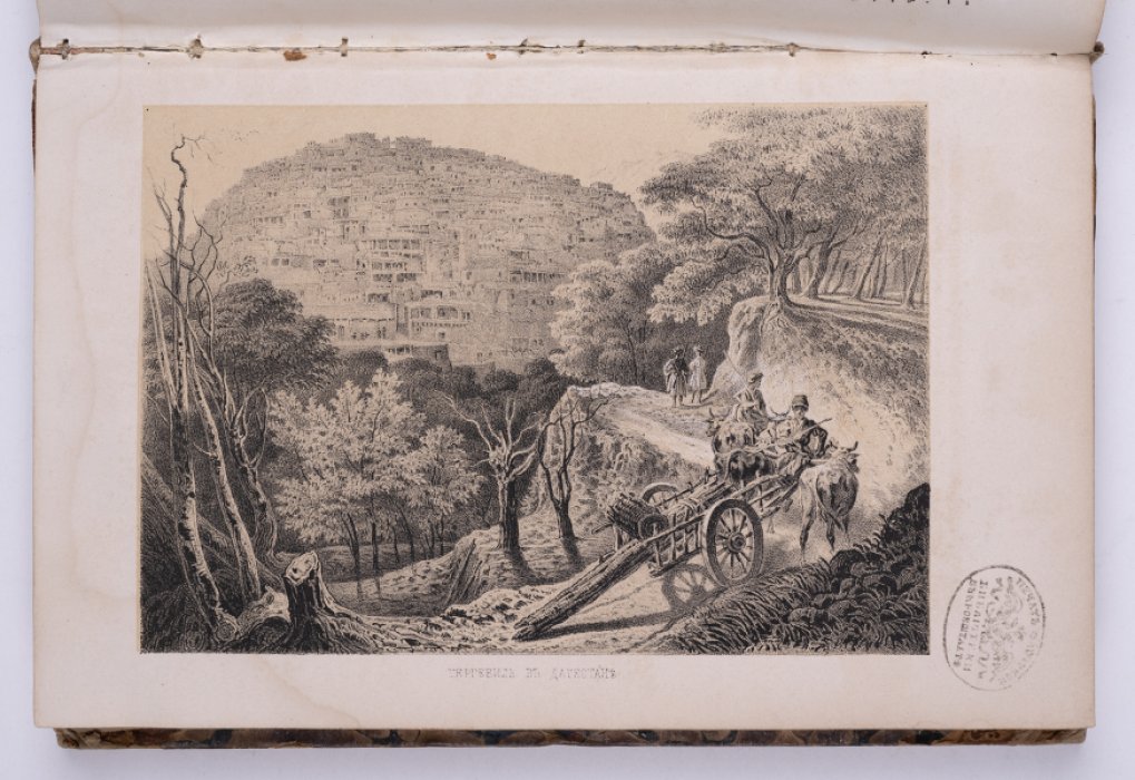 Кавказский календарь на 1856 год: справочник, статистика и адрес-календарь Закавказья