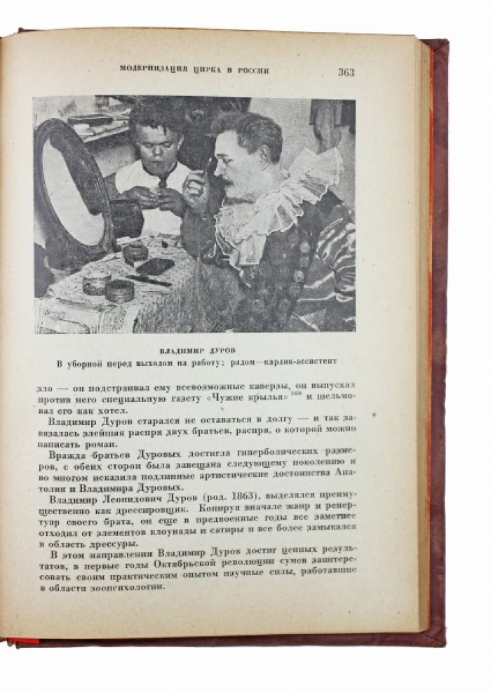 Цирк: происхождение, развитие и перспективы. История циркового искусства