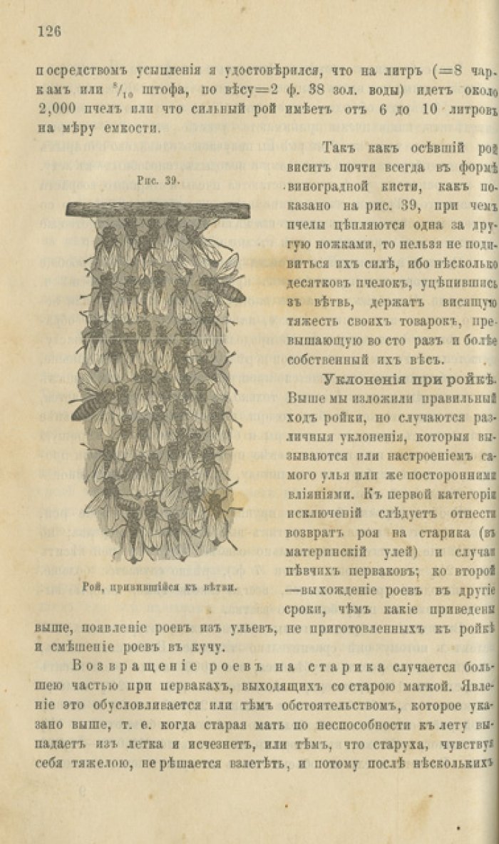 Пчеловодство, основанное на науке и многолетней практике (доходное пасечное хозяйство). Том 1–2