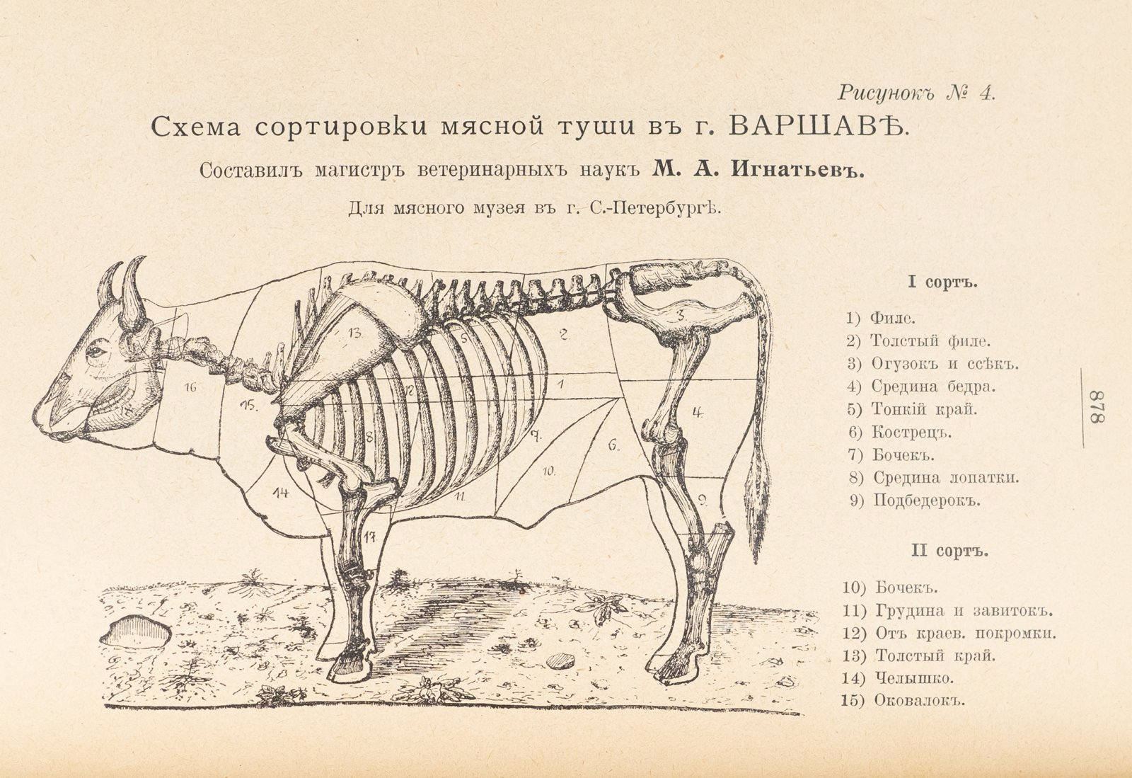 Практические основы кулинарного искусства. Учебник и рецептурный сборник