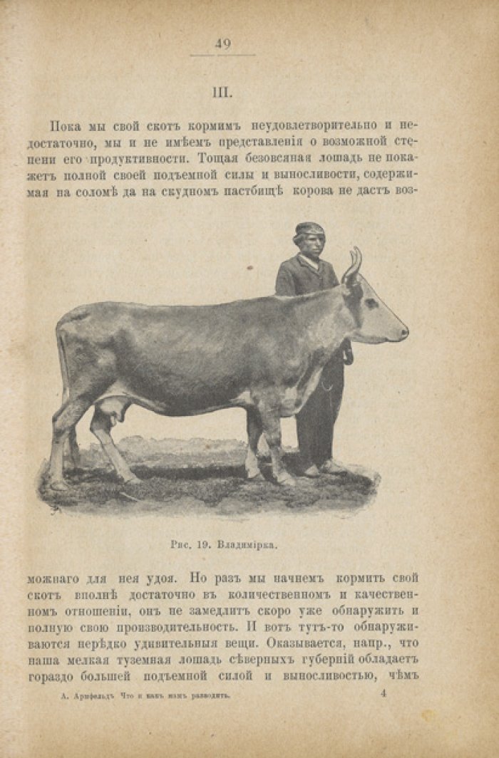 Что и как нам разводить в нечерноземной полосе: общедоступные беседы по скотоводству
