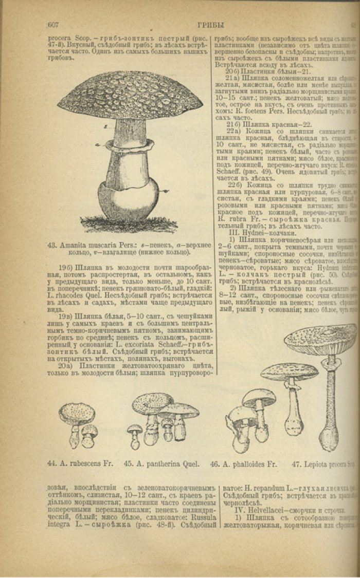 Энциклопедия русского лесного хозяйства. Свод лесохозяйственных знаний в алфавитном порядке. В 2 томах