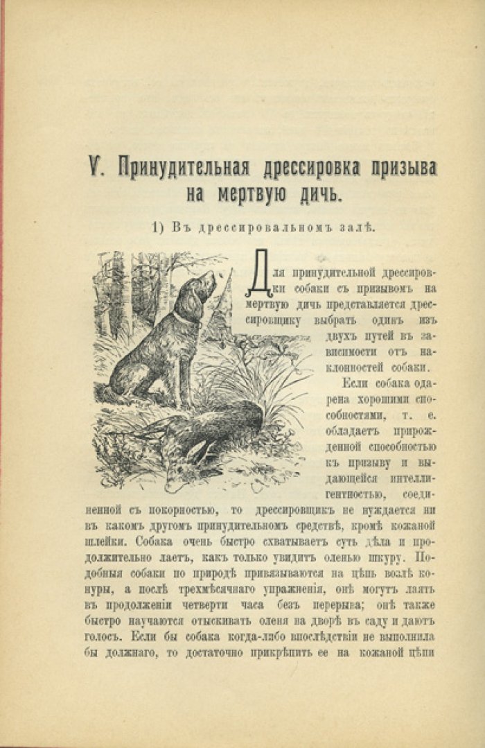 Оберлендер. Дрессировка и натаска подружейных собак (первое русское издание)