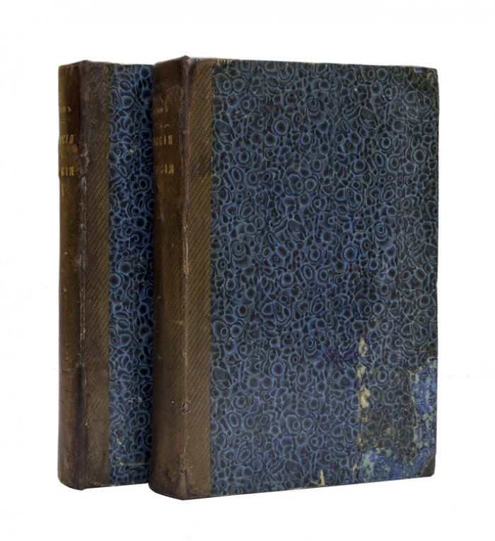 Россия и Сербия (1806–1856). Исторический очерк русского покровительства Сербии в 2 частях