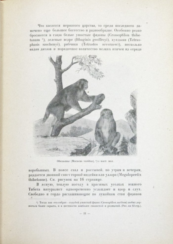 П.К. Козлов. Тибет и Далай-Лама: путешествия, Лхаса и встречи с XIII Далай-ламой