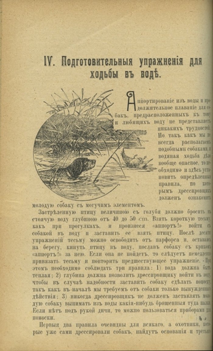 Конволют: «Дрессировка охотничьих (подружейных) собак» (2 дореволюционных издания)