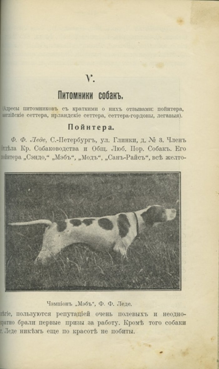 Конволют: «Дрессировка охотничьих (подружейных) собак» (2 дореволюционных издания)