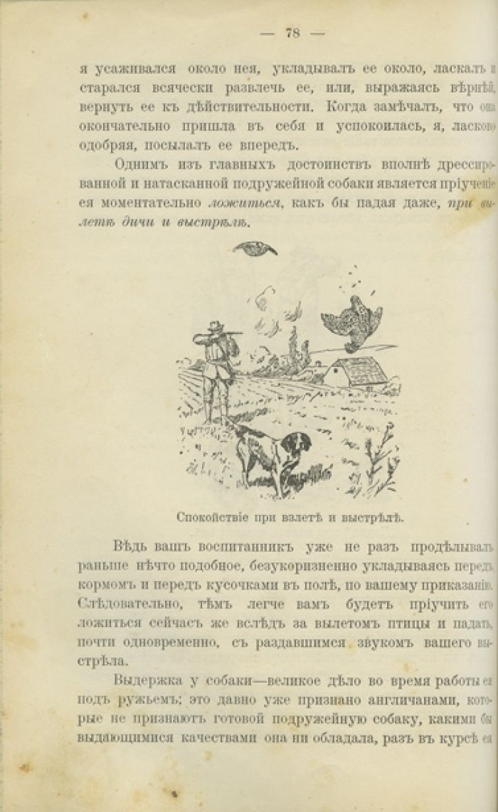 Конволют: «Дрессировка охотничьих (подружейных) собак» (2 дореволюционных издания)