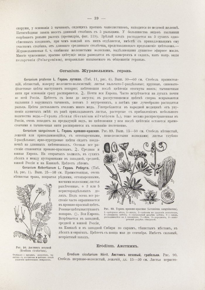 Ботанический атлас русской флоры. Описание и изображения растений (таблицы в красках, 501 растение)