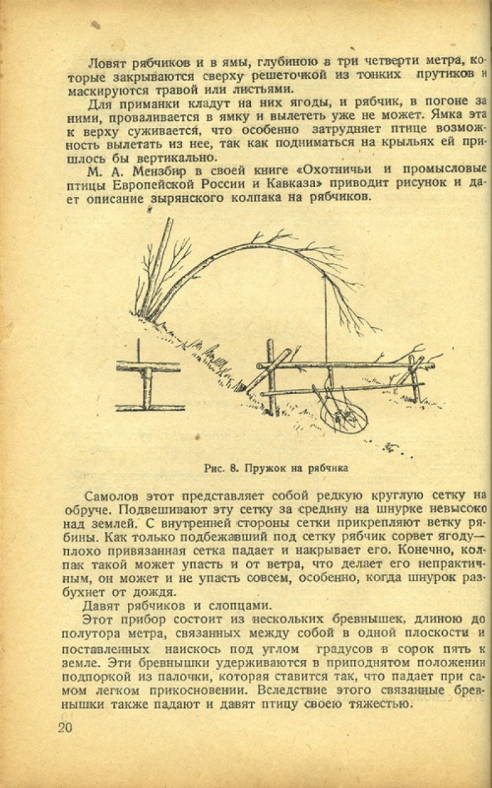 Охота на пернатую дичь. Практическое руководство для охотников-любителей