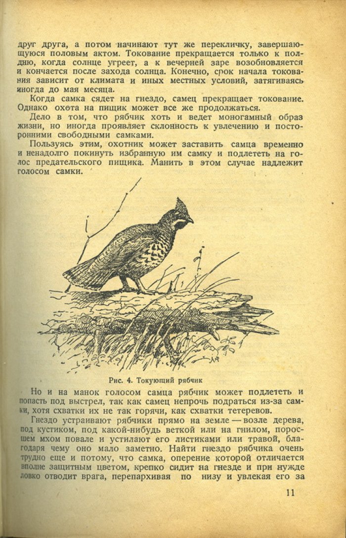 Охота на пернатую дичь. Практическое руководство для охотников-любителей