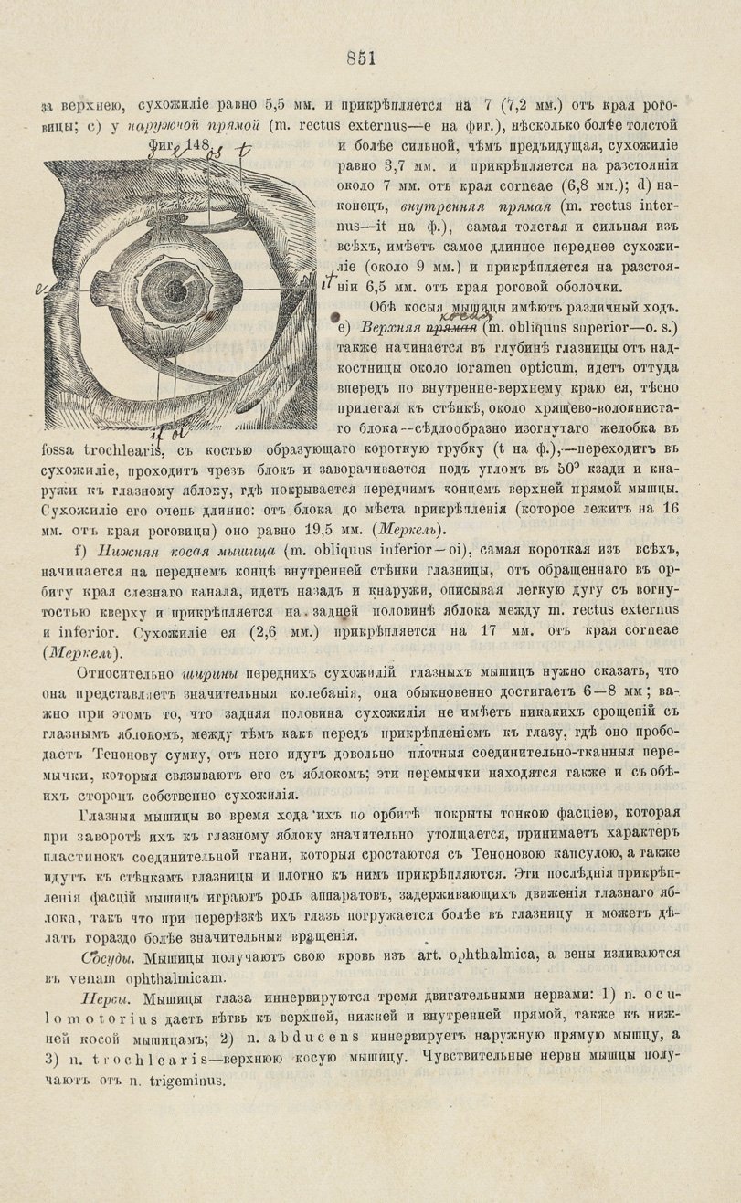 Практическая офтальмология. Руководство для студентов и врачей (2-е издание, 1882)