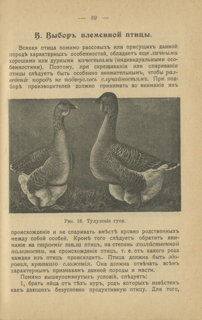 Сельскохозяйственное птицеводство. Практическое руководство по разведению, кормлению и организации хозяйства (Библиотека земледельца, №27)