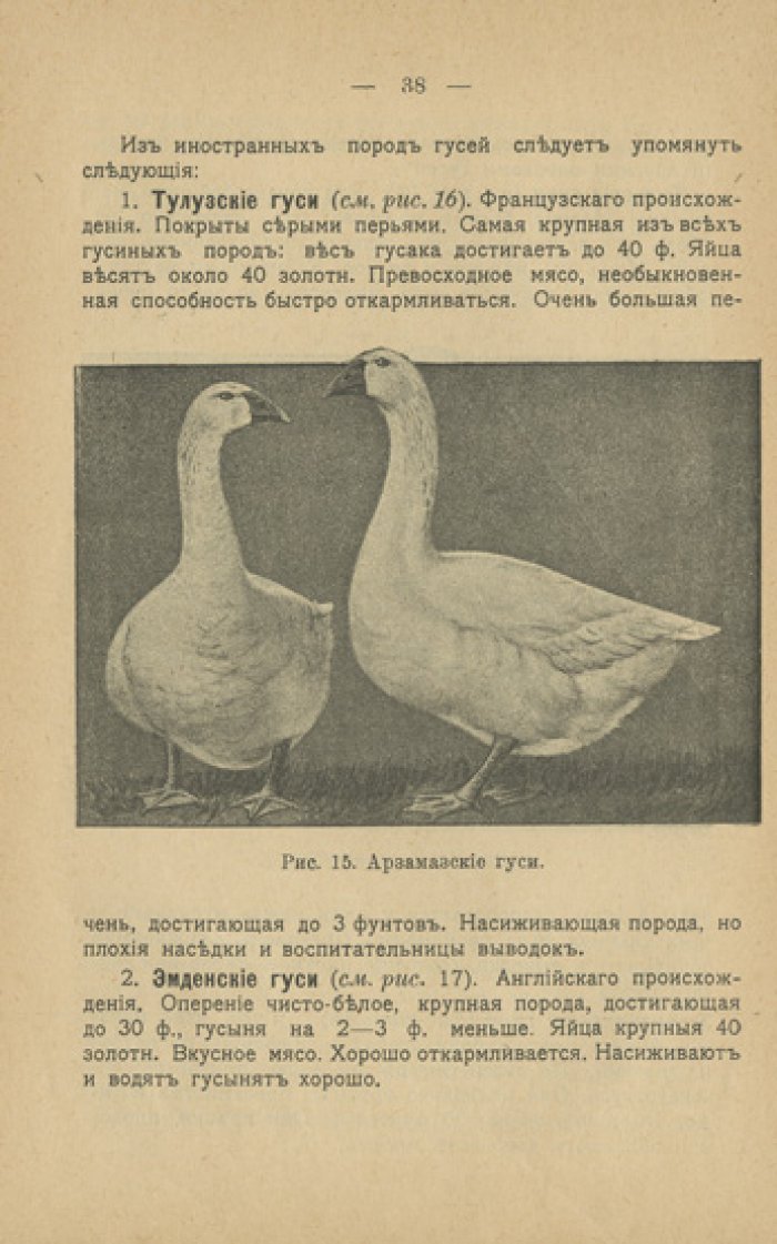 Сельскохозяйственное птицеводство. Практическое руководство по разведению, кормлению и организации хозяйства (Библиотека земледельца, №27)