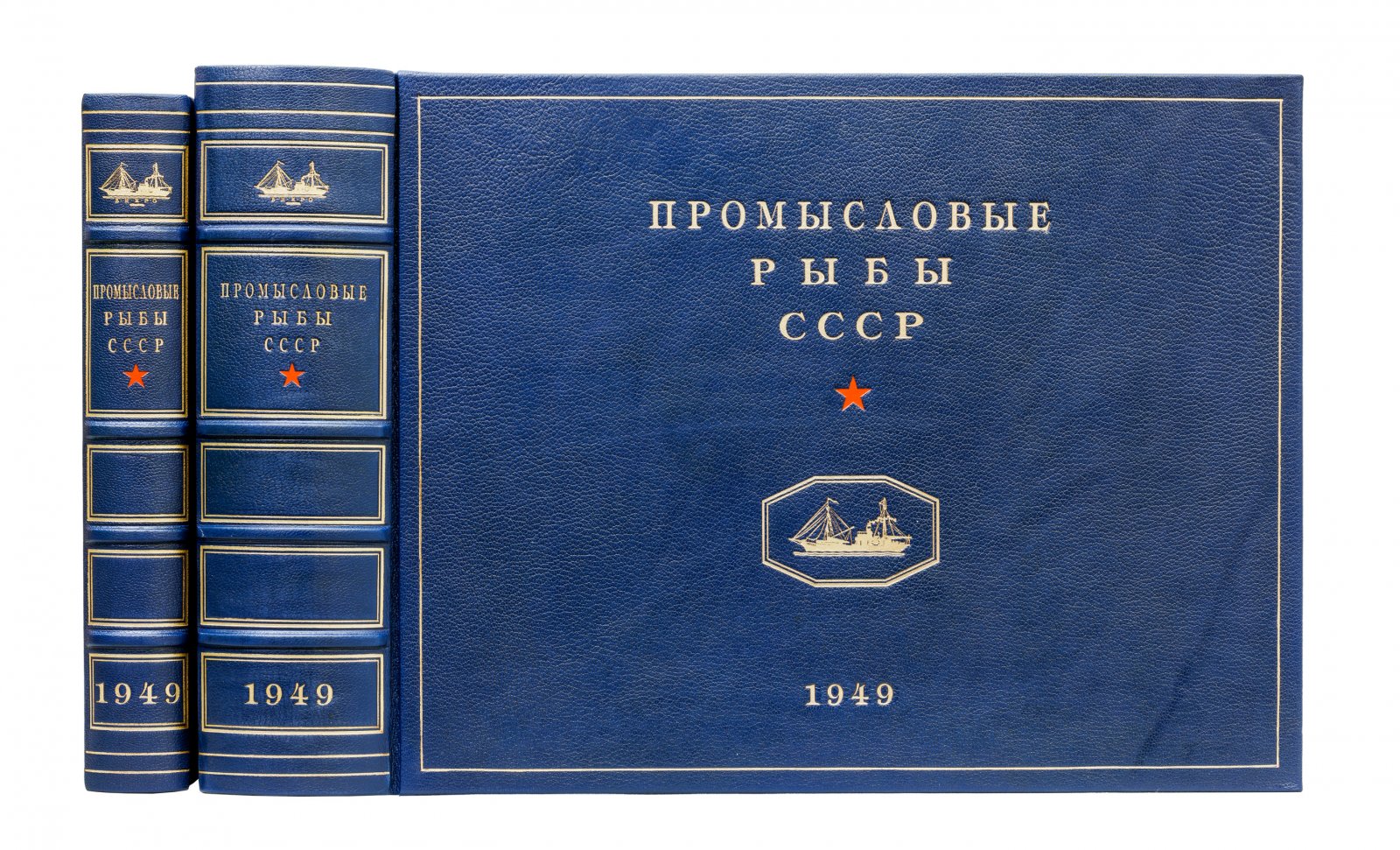 Промысловые рыбы СССР: атлас цветных рисунков и справочные описания